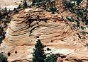 F006  N.P. Zion